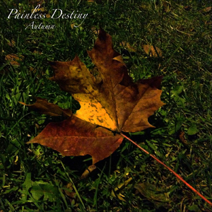 手机看日本亚洲黄色电影
