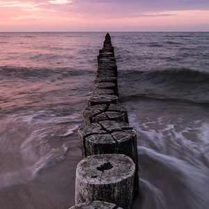 手机看日本亚洲黄色电影
